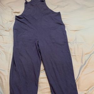 Free people linen overalls